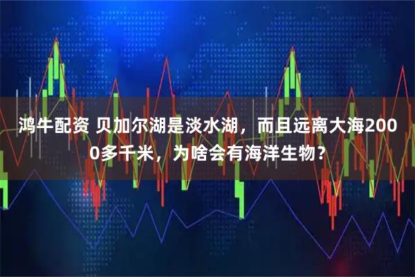鸿牛配资 贝加尔湖是淡水湖，而且远离大海2000多千米，为啥会有海洋生物？