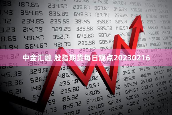 中金汇融 股指期货每日观点20230216