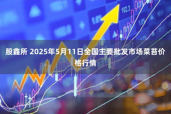 股鑫所 2025年5月11日全国主要批发市场菜苔价格行情