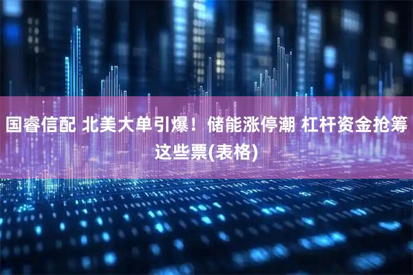 国睿信配 北美大单引爆！储能涨停潮 杠杆资金抢筹这些票(表格)